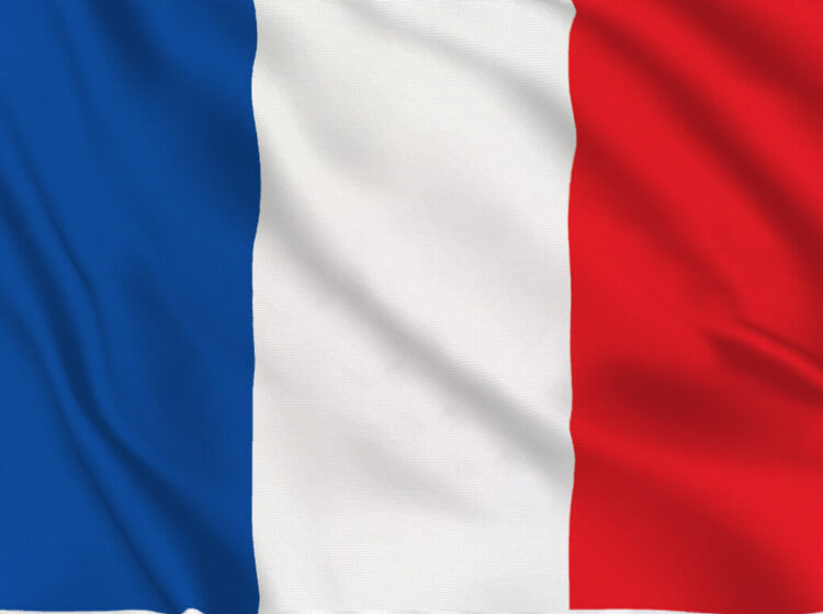 Быстрый Тест Для Определения Уровня (Французский язык)